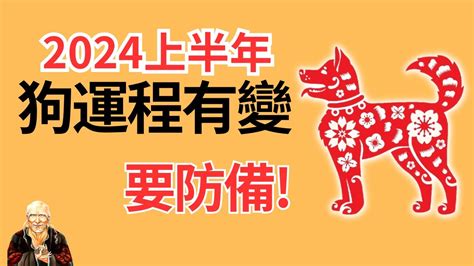 2024狗年運程1982|属狗2024年运程及运势详解 2024年属狗人全年每月运。